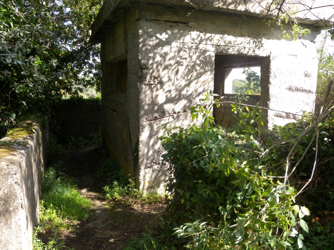 Vue générale du blockhaus caché dans la végétation