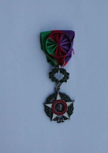Vue de détail de l'une des médaille accordée à Jean Floury par la Société d'encouragement au progrés