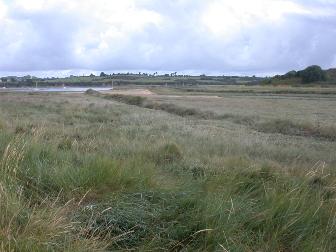 Vue du complexe naturel de Beauport-Cruckin, avec le shorre