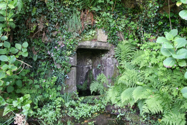 Vue générale. Etat en 2009 ; Fontaine de dévotion Saint-Sébastien. Vue générale