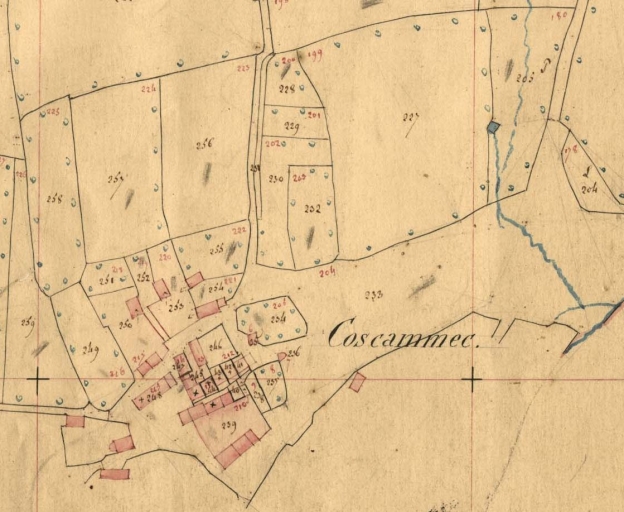 Extrait du cadastre de 1847. Section E1 ( A.D. 29, série 3P 265) ; Village de Coscammec. Extrait du cadastre de 1847. Section E1 ( A.D. 29, série 3P 265)