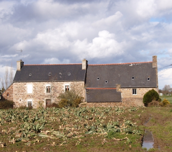 Paimpol, Landeby. Exemple d'habitat traditionnel : maisons mitoyennes (17ème et 19ème siècles) ; Vue générale