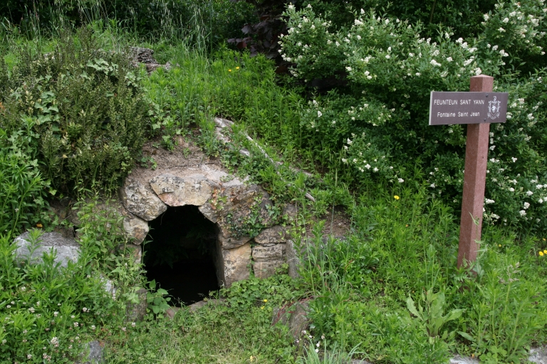 Fontaine Saint-Jean, vue générale. BP 627 ; Vue générale ; Saint-Jean Leïdez. Fontaine de dévotion Saint-Jean, vue générale