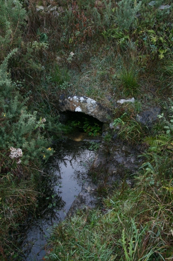 Ménesguen (près de). Fontaine du yeun, vue générale ; Vue générale ; Ménesguen (près de). Fontaine du Yeun, vue générale