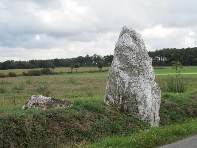 Menhir vu du sud-ouest (état en 2010)