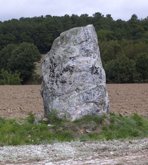 Menhir, près du cimetière (Saint-Laurent-sur-Oust)