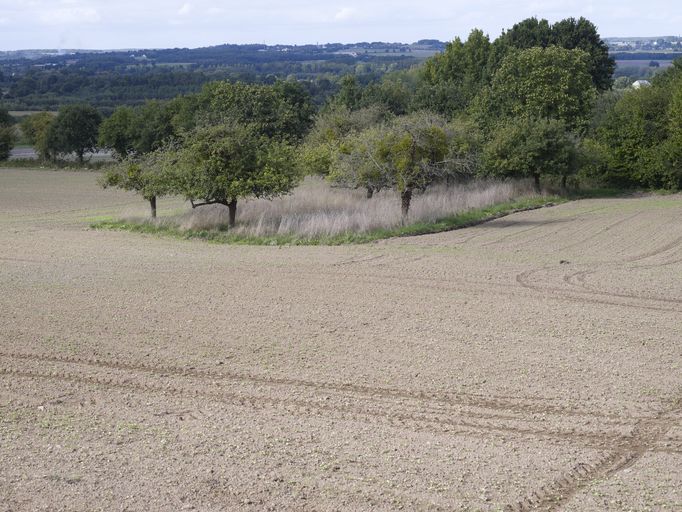 Le Pissot, un verger entouré de terres en labour (état en 2011)