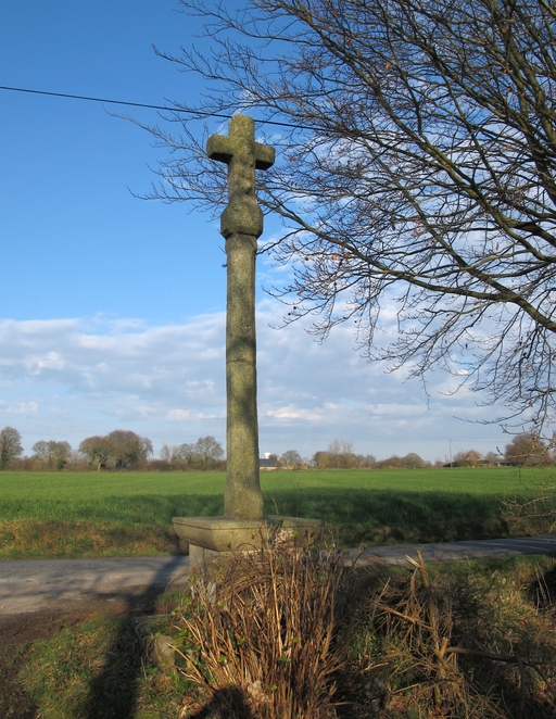 Cavan, Kerdaniel : croix de chemin, vue générale