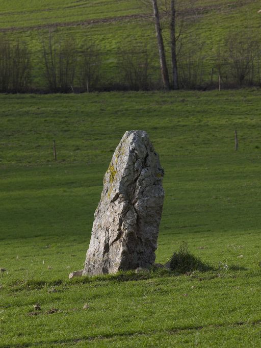 Menhir : vue générale prise du sud-est (état en 2012)