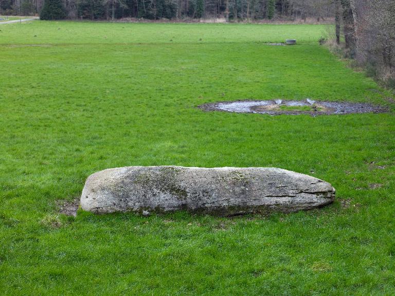 Menhir, Talvé (Pluherlin)