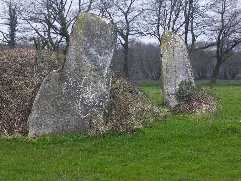 "Menhirs dit "du Bonnet Rouge" ; Vue générale"