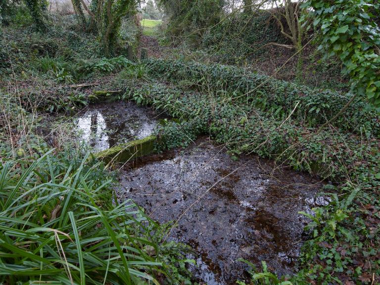 Routoirs du Rumain. Vue générale de deux bassins