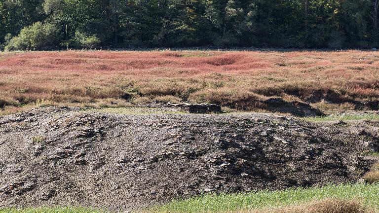 Assec du lac de Guerlédan 2015 : tue-vent face au bois de Robot, côté bois de Quénécan