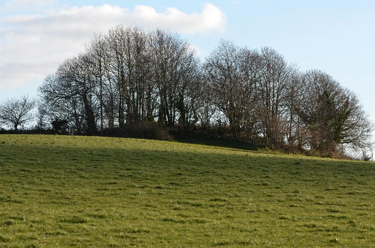 Plufur : vue générale de la motte féodale de Kerroué depuis le nord-ouest