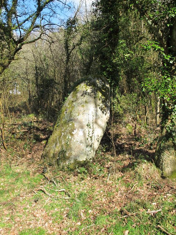 Menhir au nord  de Cornec, vue général le long du chemin