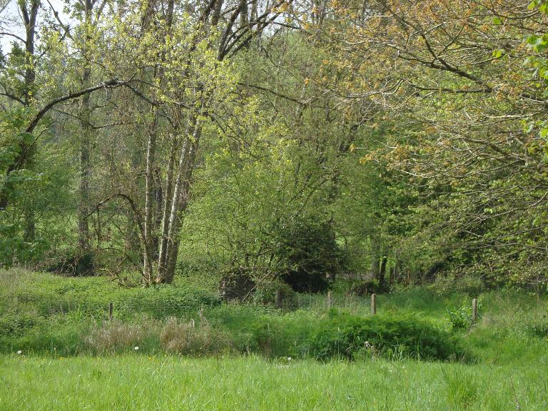 Vestiges du moulin à papier