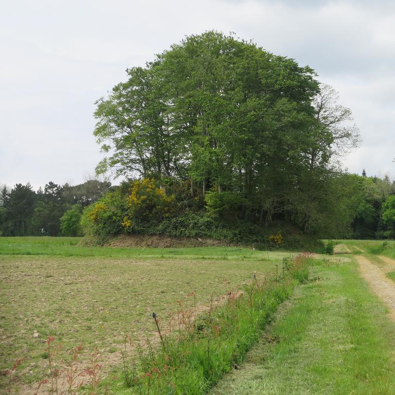 Motte castrale de Croas Husto - Motte (face ouest).