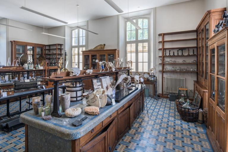Une partie des collections pédagogiques du lycée Émile Zola exposée dans une ancienne salle de travaux pratiques de chimie (Salle Hébert) ; Une partie de la collection d'objets de sciences naturelles exposée dans une ancienne salle de travaux pratiques (Salle Hébert)