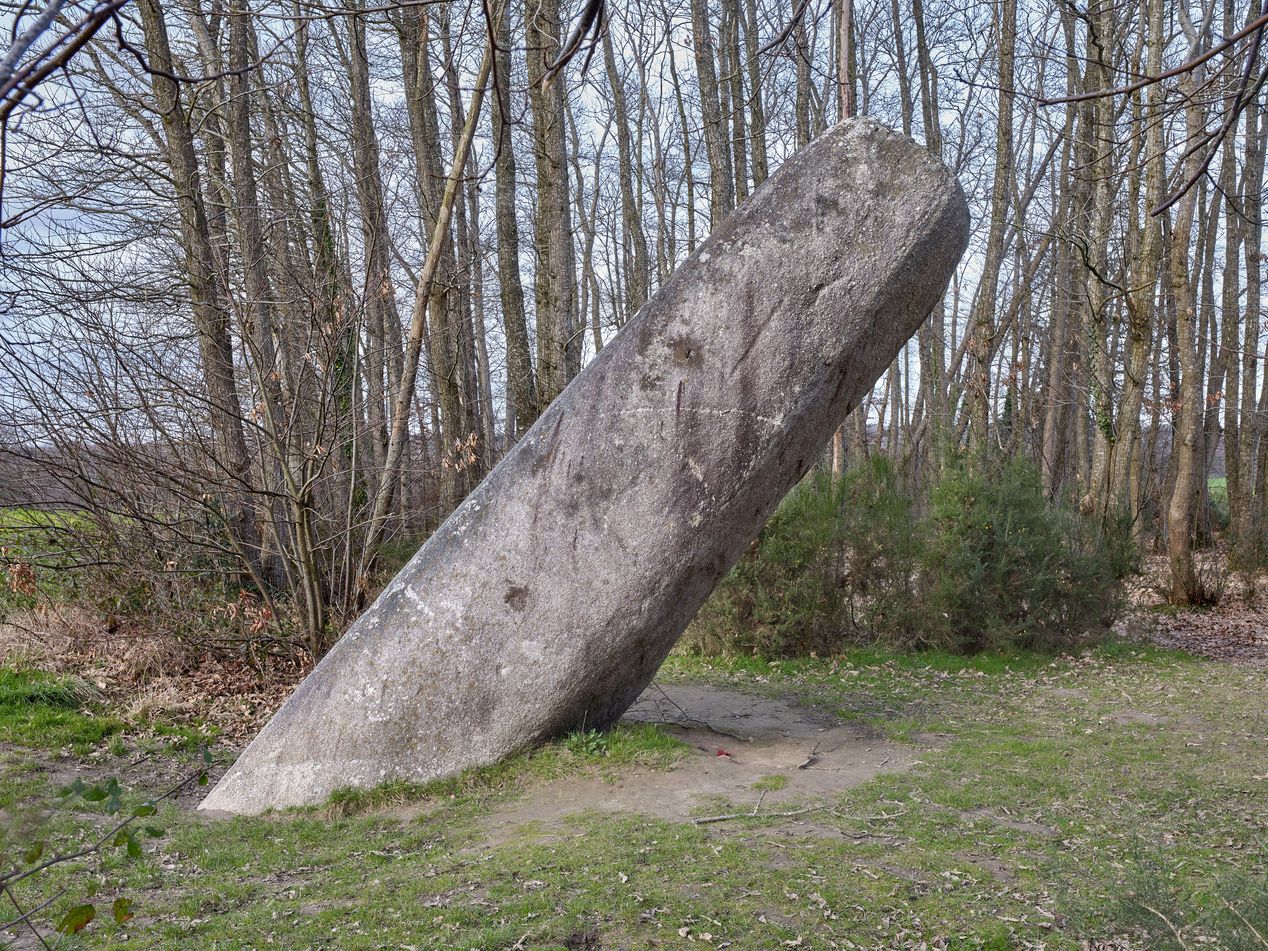 Vue générale
