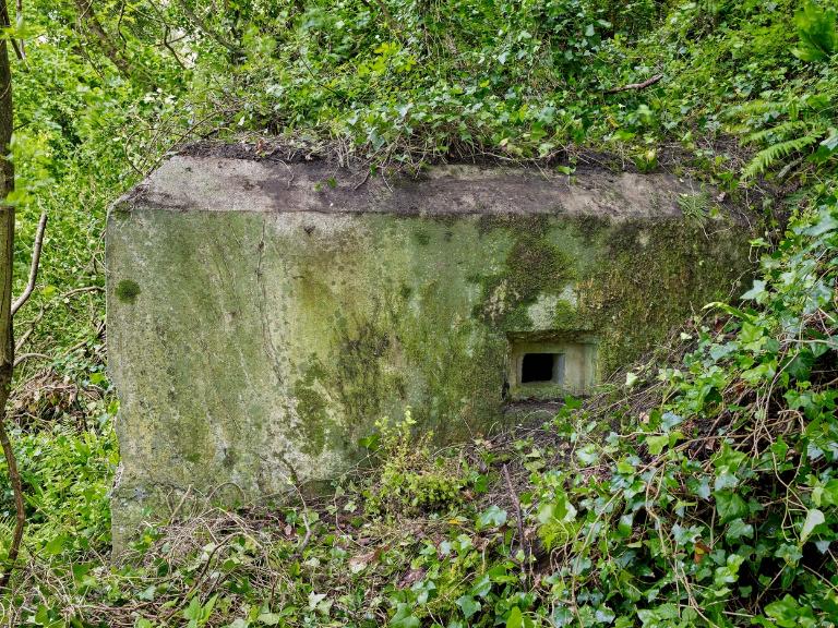 Vue de la casemate de flanquement implantée à flanc de coteau. L'ouverture de tir en gradin vers l'extérieur permet un tir perpendiculaire à la pente. Ce type d'ouverture de tir était destinée à un fusil ou à une arme automatique ; Vue du bunker - casemate de flanquement implanté sur le versant Nord vers le Gouët. Ses deux ouvertures de tir permettaient un tir perpendiculaire à la pente (ici, celle orientée vers l'Ouest)