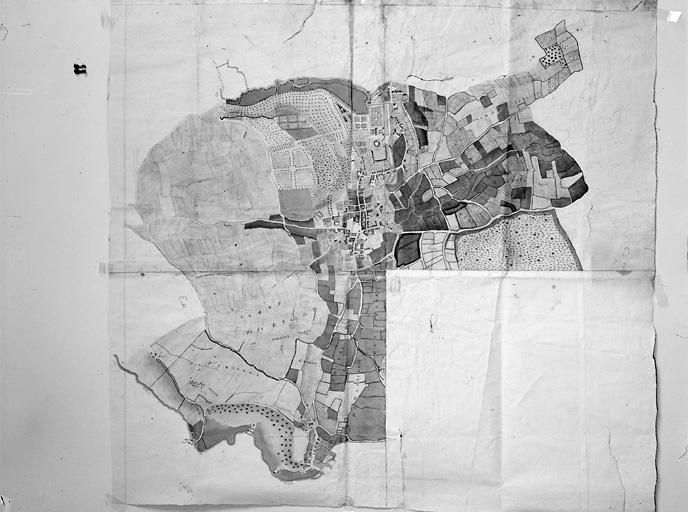 Plan du domaine de la Mothe-Saint-Héray, extrait du plan terrier.