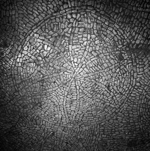 Bâtiment dit la Citadelle, intérieure, pavage.