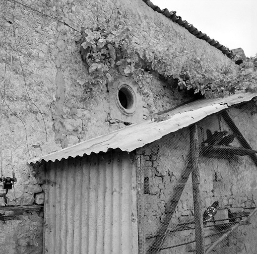 Corps de logis secondaire, élévation antérieure, oculus.