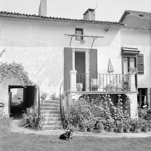 Moulin à foulon, moulin à blé