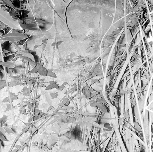 Logis, partie postérieure, vestiges de l'échauguette de l'angle sud.