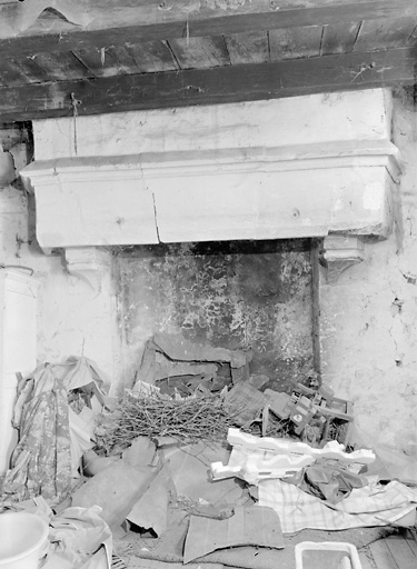 Corps de bâtiment sud-est, cheminée.