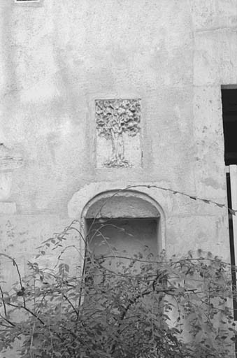 Cour intérieure, enseigne du chêne vert.