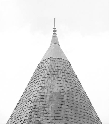 Logis, tour nord-ouest, épi de faîtage.