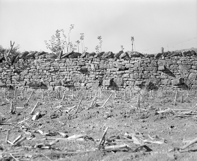 Mur de clôture d'un champs, au sud de la cour, détail de la face est.