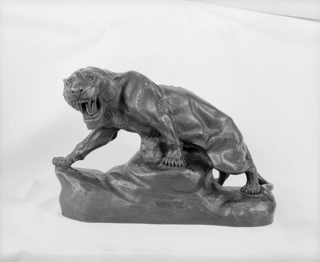 Tigre en furie, vue d'ensemble.