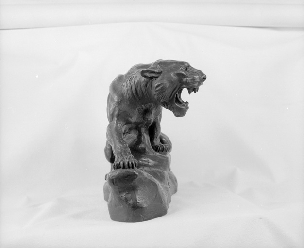 Tigre en furie, vue d'ensemble.
