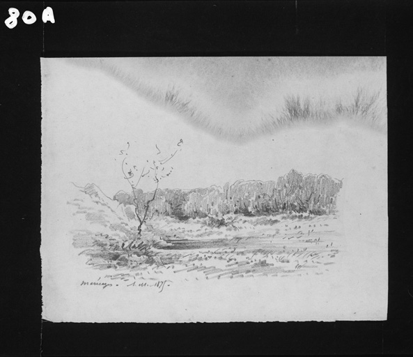 Paysage de marécages.