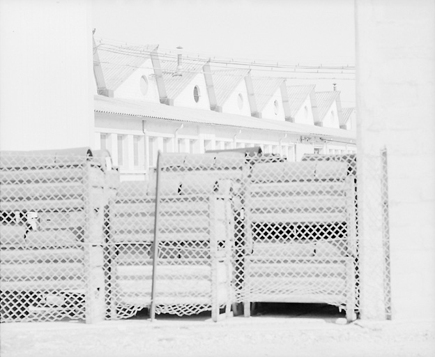 Les ateliers de fabrication, vers 1953.