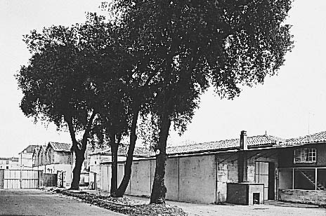 La cour avec les chais et une chaudière.