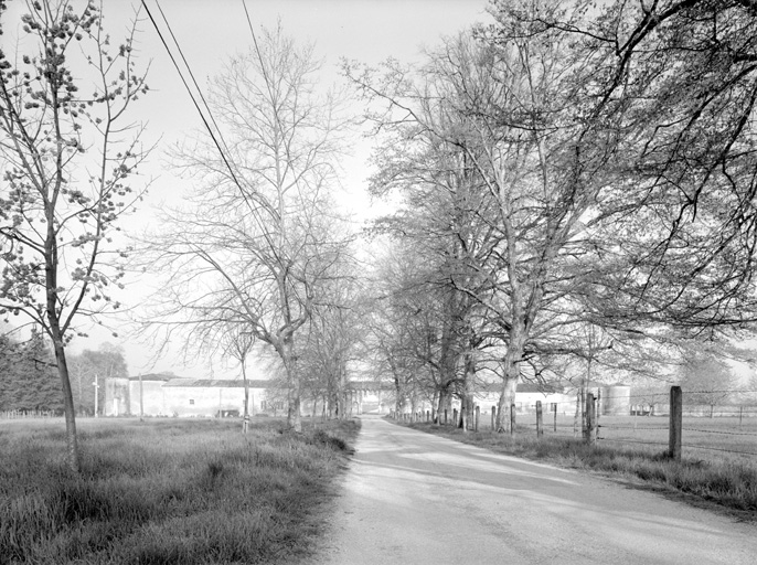 L'allée et l'entrée principale.