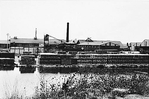 Vue générale.