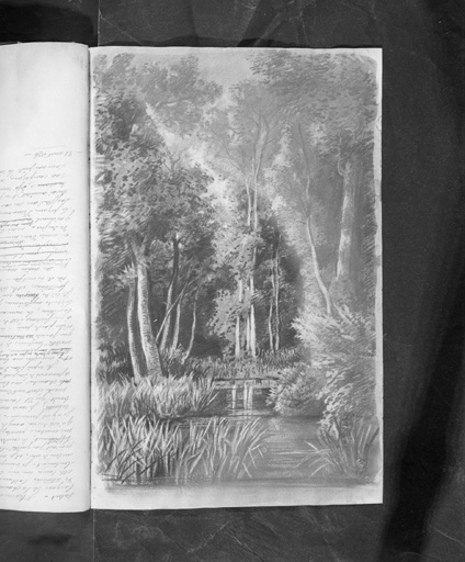 Dessin : sous-bois.