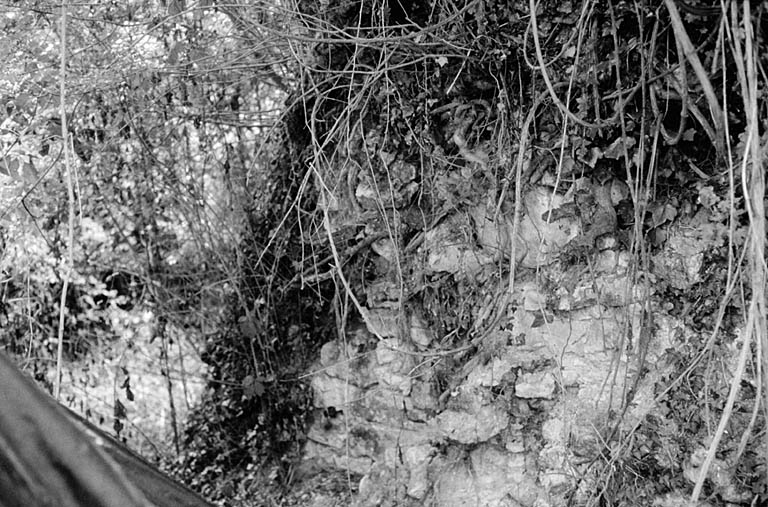 Ancien édifice fortifié, vestiges, mur vu depuis le sud-ouest.