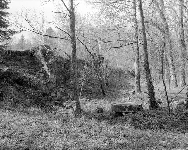 Le barrage et vestiges de la forge, vus du nord.
