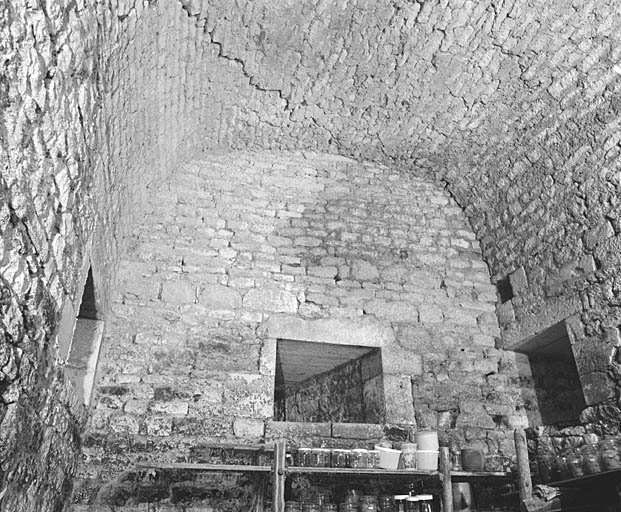Communs, aile nord-est, partie centrale, premier niveau, cave, mur est, meurtrières.