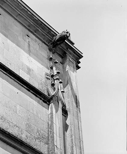 Elévation est : détail d'une gargouille.