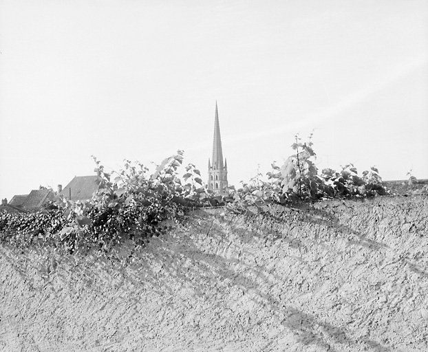 Flèche du clocher porche vue de l'est.