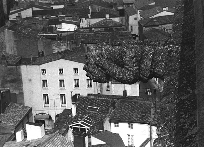 Clocher, partie supérieure, détail d'une gargouille.