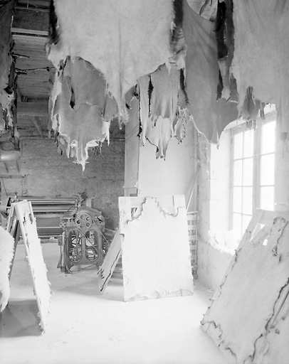 Intérieur : salle de finition, peaux de chèvres sèchant.