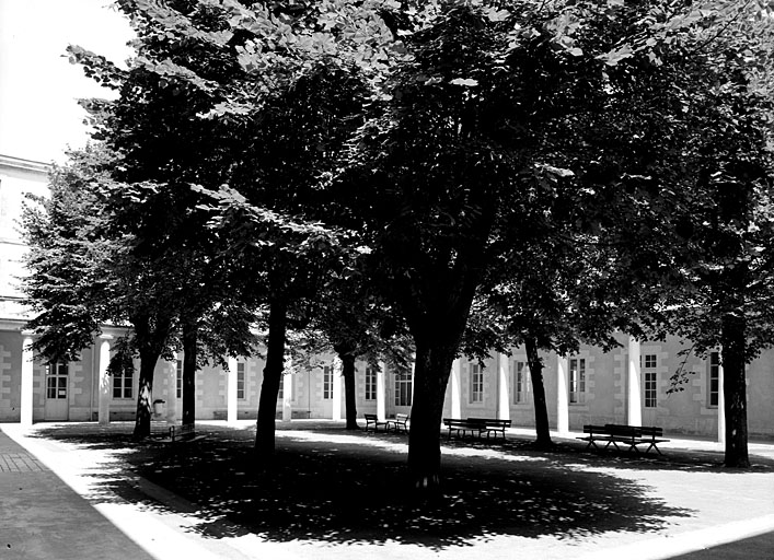 Cour est vue vers le nord est.