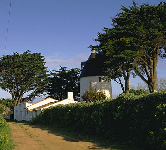 Moulin nord ouest vu depuis le sud est